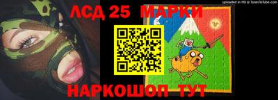 спиды Кингисепп