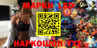 спиды Кингисепп