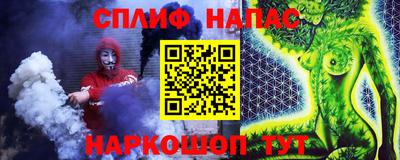 спиды Кингисепп