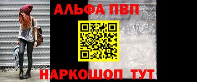 спиды Кингисепп