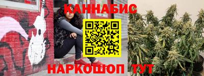 спиды Кингисепп
