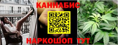 спиды Кингисепп