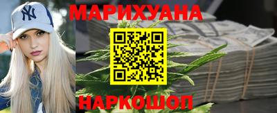 спиды Кингисепп