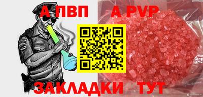 спиды Кингисепп