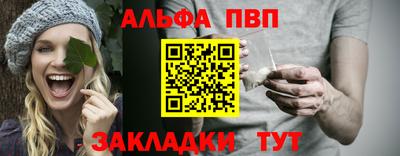 спиды Кингисепп