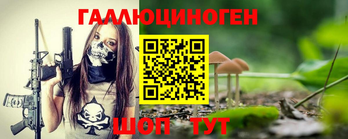 Псилоцибиновые грибы Cubensis Иваново
